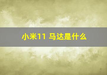 小米11 马达是什么